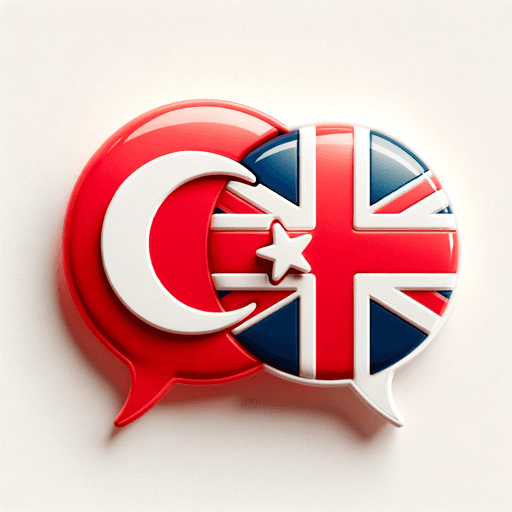 Profile Image for Turkish-English Translator