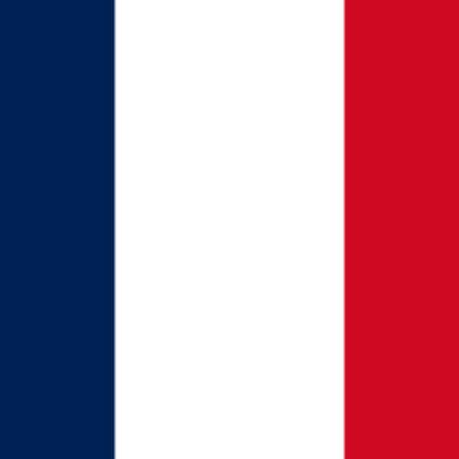 Profile Image for French grammar